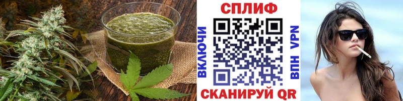 Cannafood конопля Звенигород