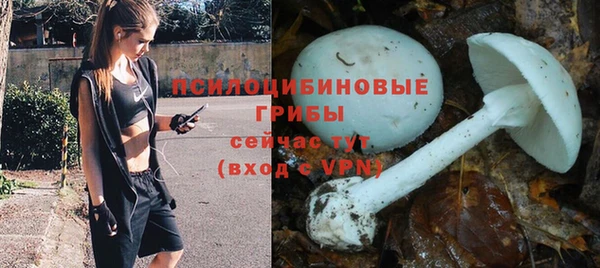 ALPHA PVP Михайловск