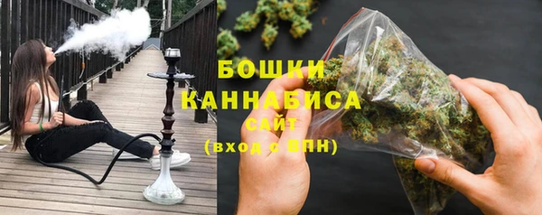 дурь Бежецк