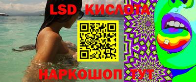 ПСИЛОЦИБИНОВЫЕ ГРИБЫ Гай
