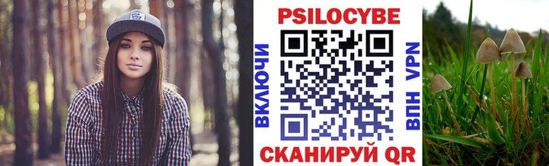 где можно купить наркотик  Звенигород  darknet телеграм  Галлюциногенные грибы Cubensis 