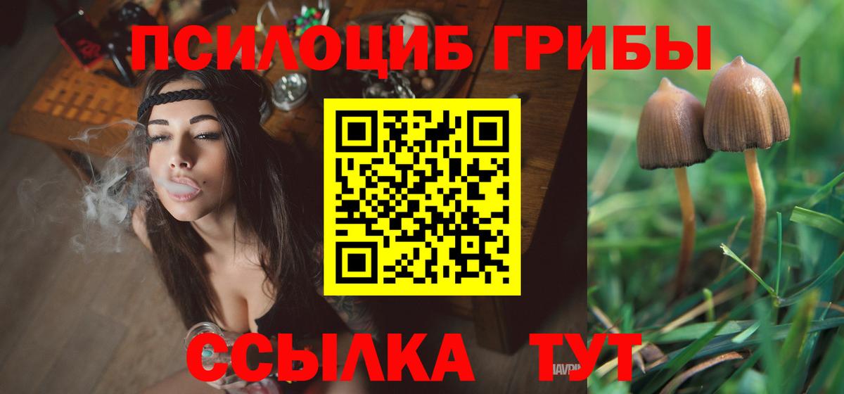 Звенигород  Галлюциногенные грибы Cubensis  Вход с VPN 